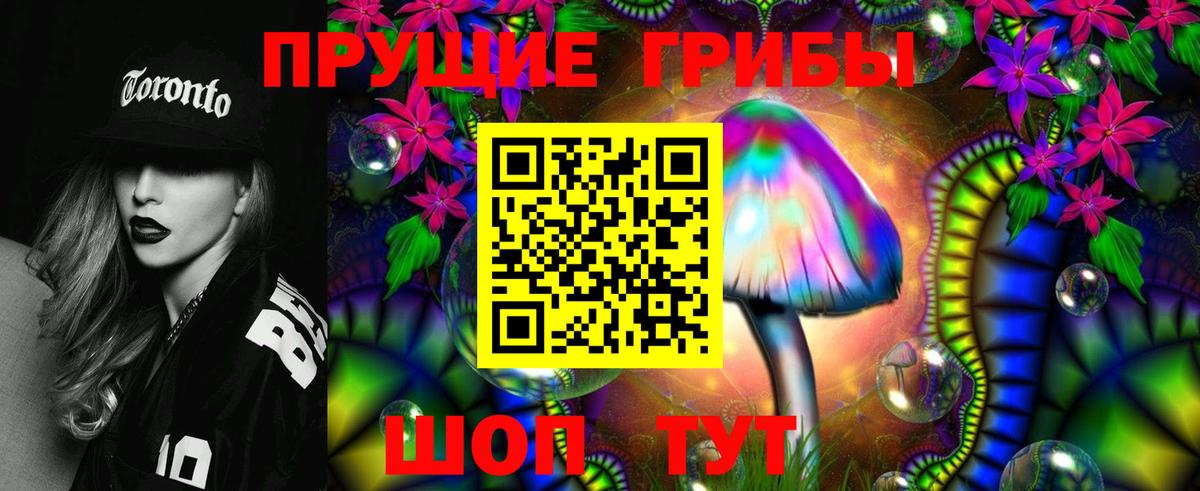 Галлюциногенные грибы GOLDEN TEACHER  как найти наркотики  Вышний Волочёк  Вход с VPN  Псилоцибиновые грибы Psilocybine cubensis 