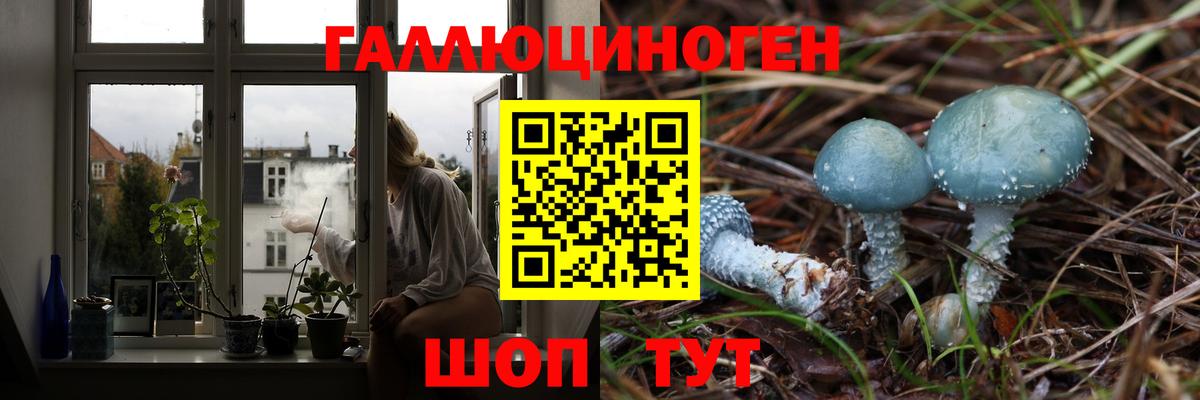 Галлюциногенные грибы ЛСД Вышний Волочёк